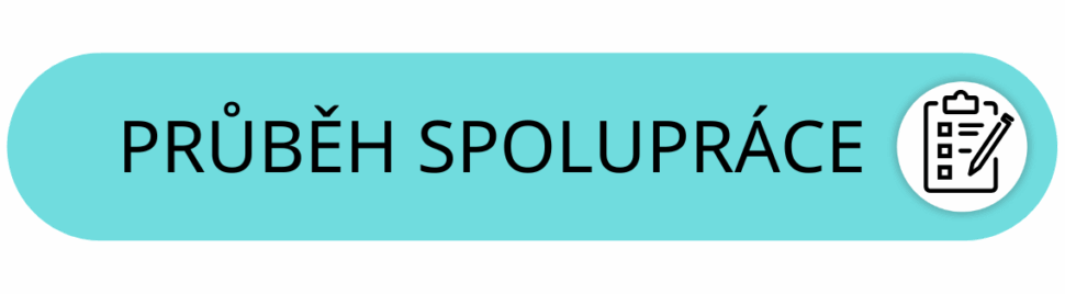 Ikona průběh spoluráce s Jiřím Bednářem